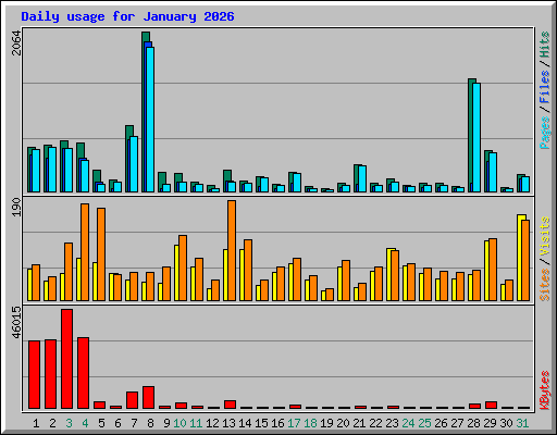 Daily usage for January 2026