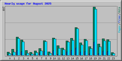 Hourly usage for August 2025