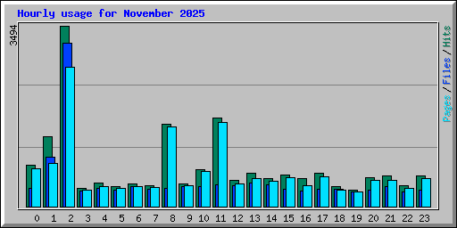 Hourly usage for November 2025