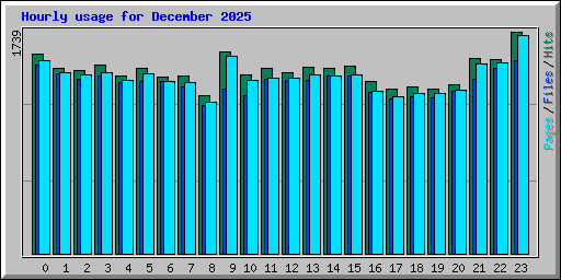 Hourly usage for December 2025