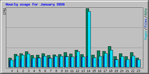 Hourly usage for January 2026